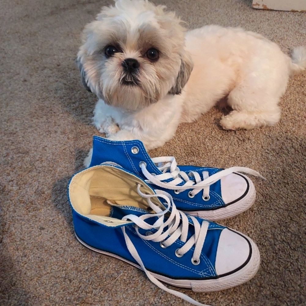 Converse classic high top sneakers